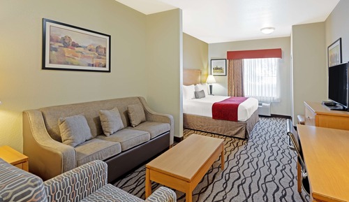 Suite, 1 King Bed, Non Smoking, Refrigerator & Microwave (with Single Sofabed)