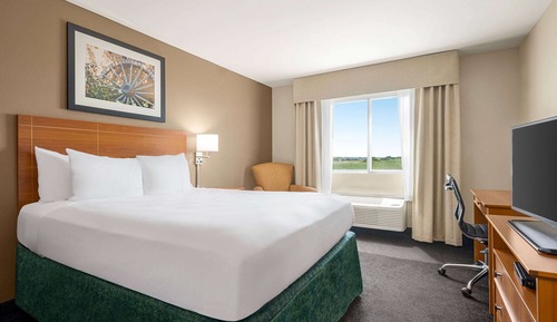 Room, 1 Queen Bed, Non Smoking