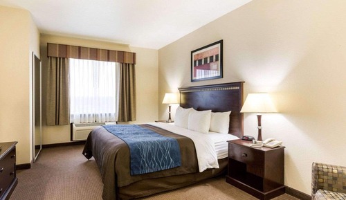 Standard Room, 1 King Bed, Non Smoking
