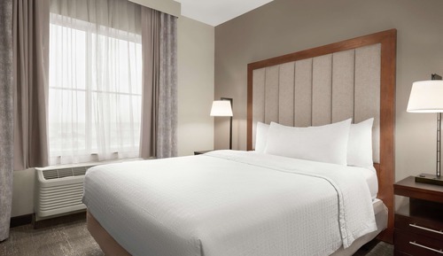 Suite, 1 Queen Bed