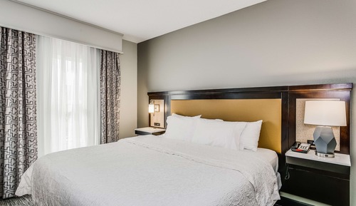 Studio, 1 King Bed, Accessible, Non Smoking (Roll-in Shower)