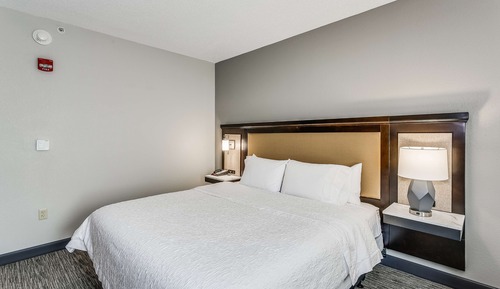 Room, 1 King Bed, Accessible, Non Smoking