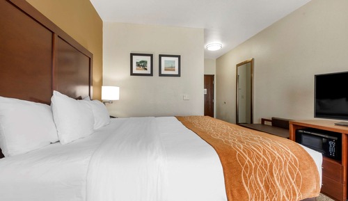 Room, 1 King Bed, Accessible, Non Smoking