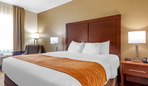 Room, 1 King Bed, Accessible, Non Smoking