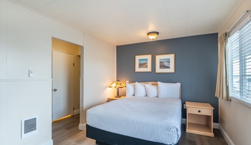 Pet-Friendly Standard 2 Queen Beds