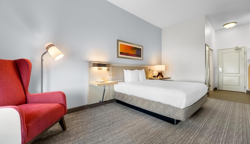 One king deluxe evolution room