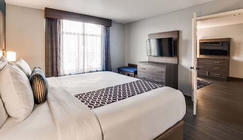 Suite, 1 King Bed, Non Smoking, Jetted Tub (with Sofabed)