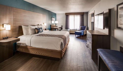 Standard Room, 1 King Bed, Non Smoking, Refrigerator & Microwave (with Sofabed)