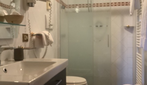 Superior Double or Twin Room, Garden Area