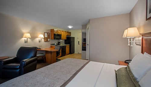 Studio Suite, 1 King Bed, Refrigerator