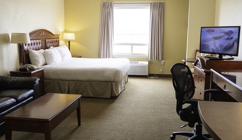 Standard Room, 1 King Bed with Sofa bed, Non Smoking (Efficiency)