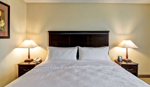 Studio Suite, 1 King Bed