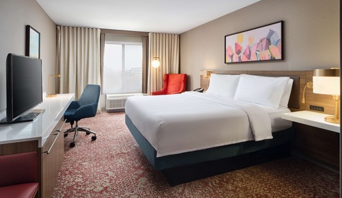Room, 1 King Bed