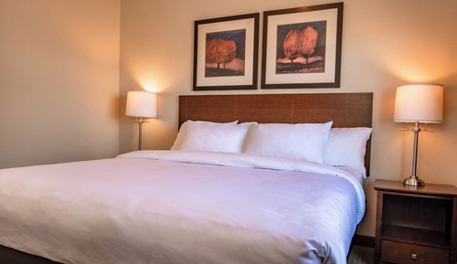 Superior Single Room