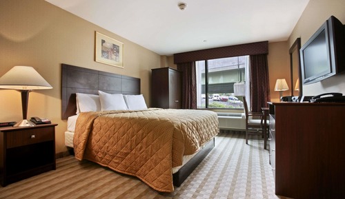 Room, 1 Queen Bed