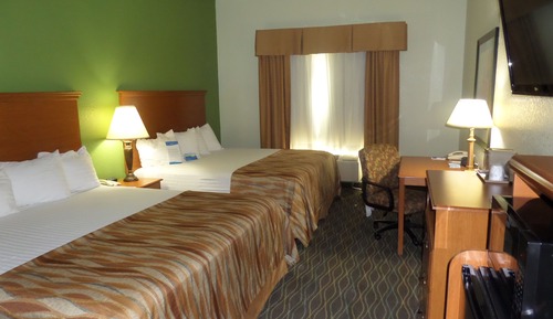 Room, Multiple Beds, Accessible, Non Smoking (Mobility/Hearing, Roll-In Shower)