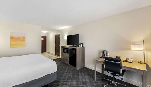 Room, 1 King Bed, Non Smoking (Upgrade)
