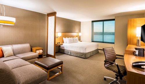 Room, 1 King Bed with Sofa bed, View