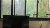 Signature Twin Room