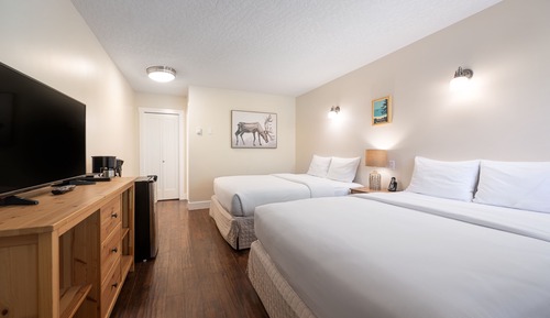 Standard Room, 2 Queen Beds