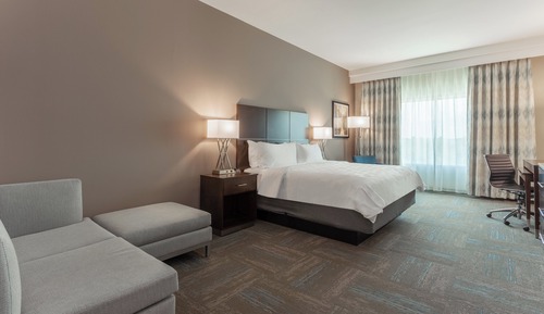 Suite, 1 King Bed