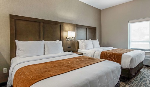 Suite 2 Queens Non Smoking 1 person Sofabed