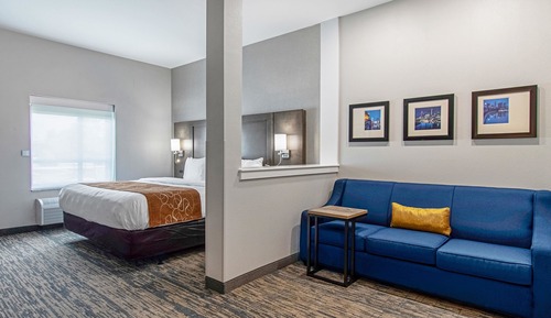 Suite, 1 King Bed, Accessible, Non Smoking (Roll-In Shower)