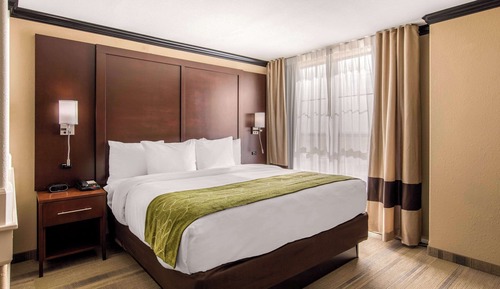 Suite, 1 King Bed with Sofa bed, Non Smoking (Efficiency)