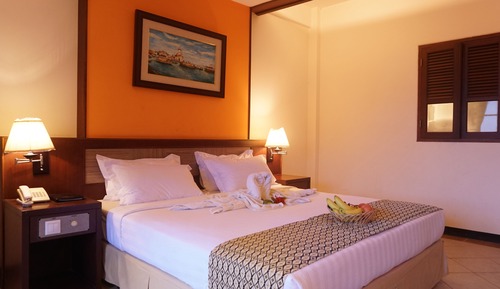 Superior Double or Twin Room