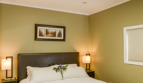 Deluxe Room, 1 King Bed, Non Smoking