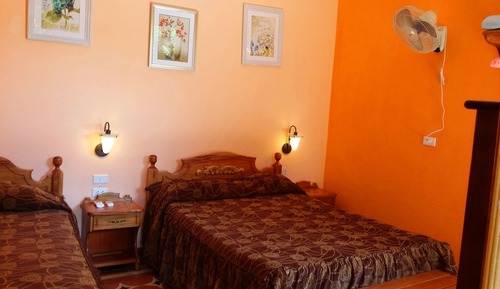 Standard Double or Twin Room