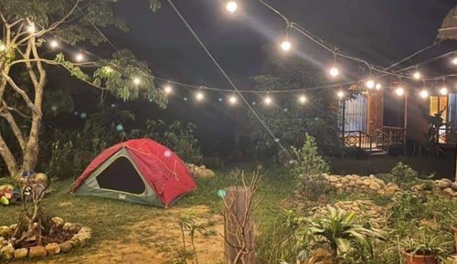 Basic Tent