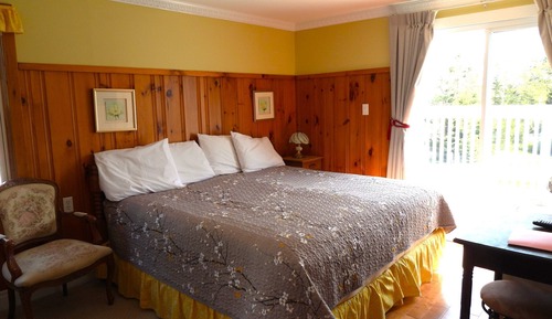 Room, 1 King Bed