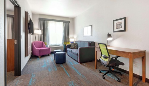 Suite, 1 King Bed, Non Smoking (with Sofabed)