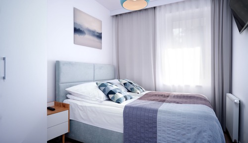 Deluxe Apartment (8)