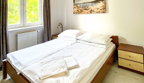 Deluxe Apartment (12)