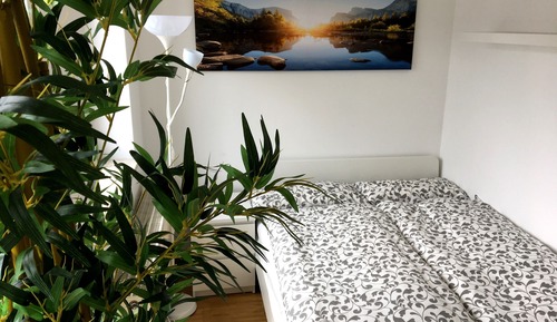 Luxury Downtown (incl. 25 Euro Cleaning Fee)