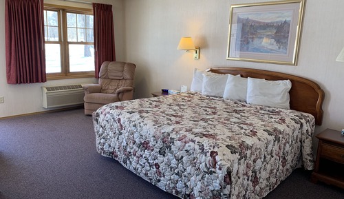 Standard Room, 1 King Bed, Refrigerator & Microwave, Courtyard View (pet friendly)