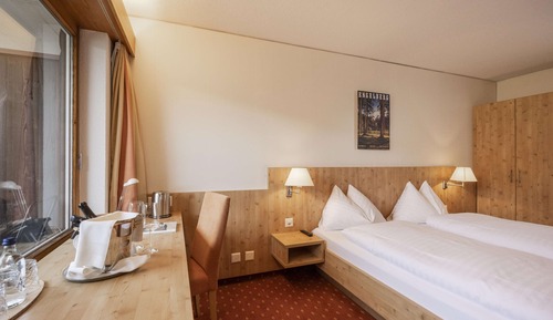 Standard Double Room, Balcony, Mountain View