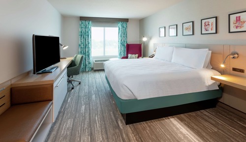 Room, 1 King Bed
