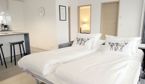 Comfort Apartment, 1 Bedroom (101)