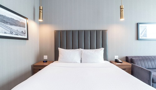 Standard Room, 1 King Bed with Sofa bed