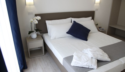 Superior Double or Twin Room, City View