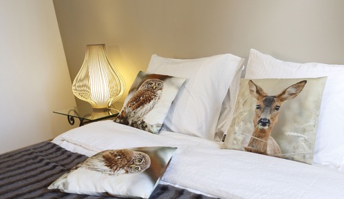 Comfort Apartment, Private Bathroom, City View (CHENONCEAU)