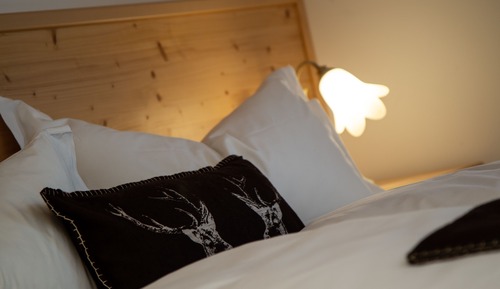 Superior Double or Twin Room, Mountain View