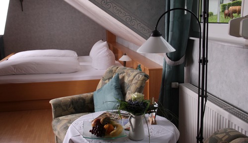 Comfort Double Room (Gaestehaus)