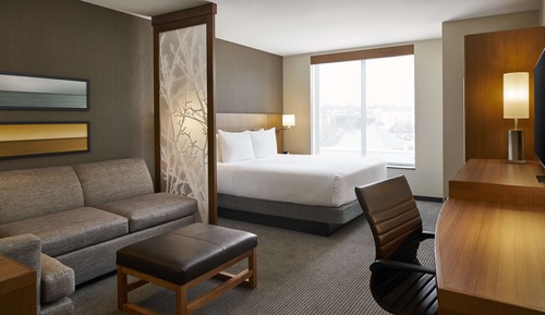 Room, 1 King Bed with Sofa bed, Accessible, View (Shower)