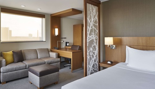 Room, 1 King Bed with Sofa bed