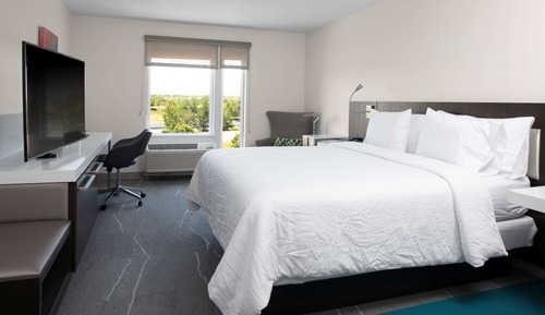 Room, 1 King Bed