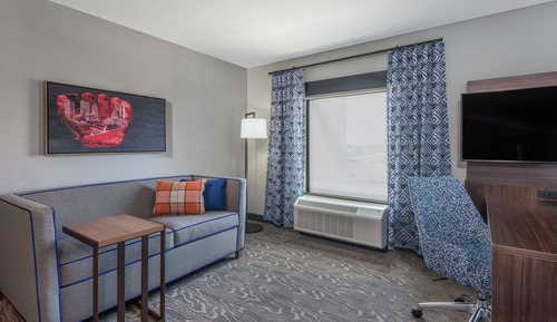 Suite, 1 King Bed, Refrigerator & Microwave (Wet bar, Ballpark View)